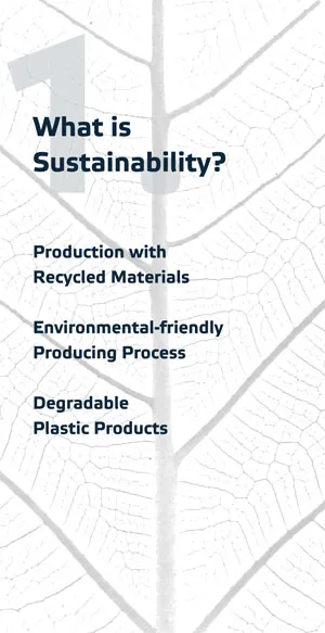 O que é sustentabilidade?